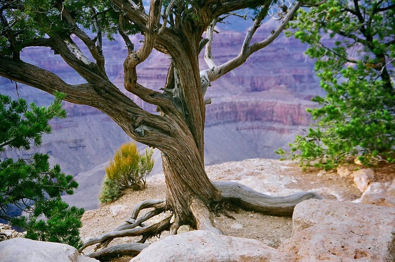 Grand Canyon Rafting